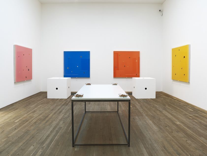 In &amp; Out of Love (Butterfly Paintings and Ashtrays), 1991 - Installed at Tate Modern, 2012