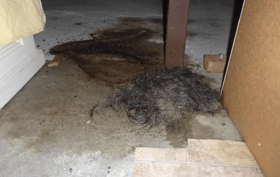 Screen Shot 2019-04-18 at 9.05.28 pm