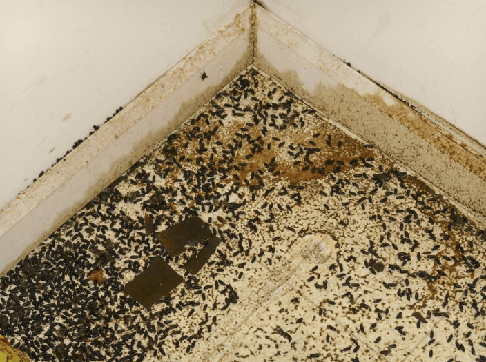 Screen Shot 2019-04-18 at 9.24.22 pm